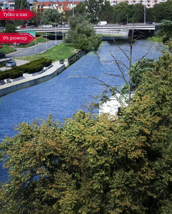 Lokal użytkowy na sprzedaż Gdańsk, Śródmieście, Kamienna Grobla 156m2 Foto 1