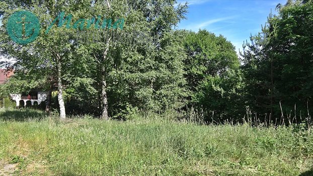 Działka budowlana na sprzedaż Kamień, Jezioro, Las, Tereny rekreacyjne 536m2 Foto 9