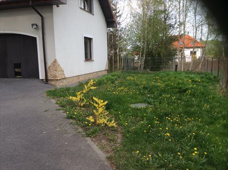 Dom na sprzedaż Wiązowna 200m2 Foto 2
