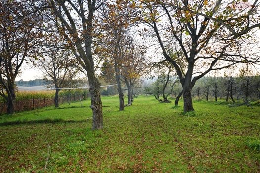 Działka rekreacyjna na sprzedaż Żurawica 1 500m2 Foto 1