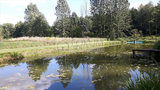 Działka rolna na sprzedaż Jastków 5 300m2 Foto 1