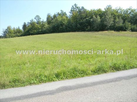 Działka budowlana na sprzedaż Kłodne 1 800m2 Foto 3