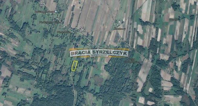 Działka budowlana na sprzedaż Piskornia 22 596m2 Foto 2