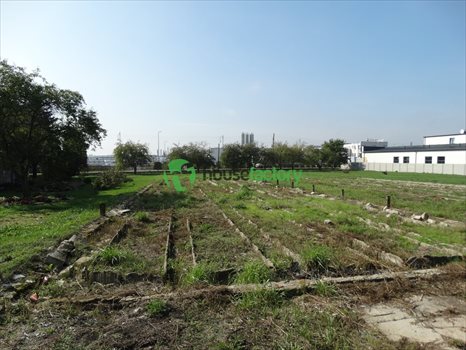 Działka budowlana na sprzedaż Rzgów 5 000m2 Foto 1