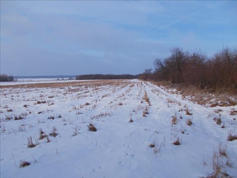 Działka rolna na sprzedaż Konstantynów Łódzki, Konstantynów Łódzki 3 500m2 Foto 1
