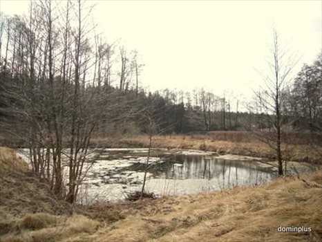 Działka inna na sprzedaż Brzozówka 3 500m2 Foto 4