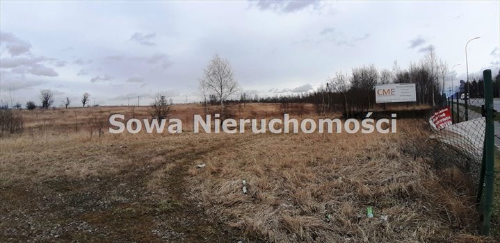 Działka inna na sprzedaż Wałbrzych, Biały Kamień 8 563m2 Foto 7