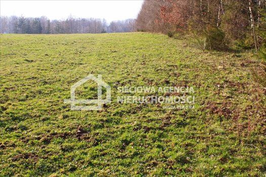 Działka budowlana na sprzedaż Tokary 1 346m2 Foto 1