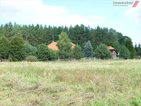 Działka budowlana na sprzedaż Wołczkowo 3 000m2 Foto 1