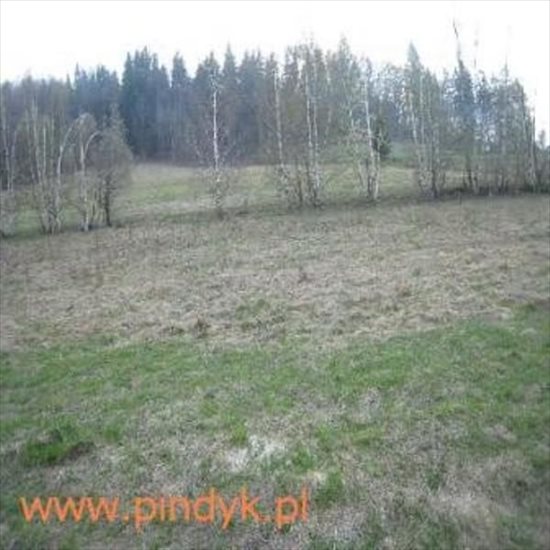 Działka budowlana na sprzedaż polska, Jelenia Góra Okolice, Zachełmie 1 800m2 Foto 4