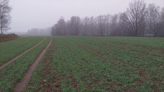 Działka gospodarstwo rolne na sprzedaż Ełk 7 000 000m2 Foto 2