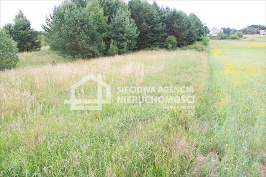 Działka budowlana na sprzedaż Sitno 3 664m2 Foto 8