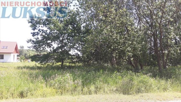Działka budowlana na sprzedaż Góra Kalwaria, Kąty 1 000m2 Foto 8