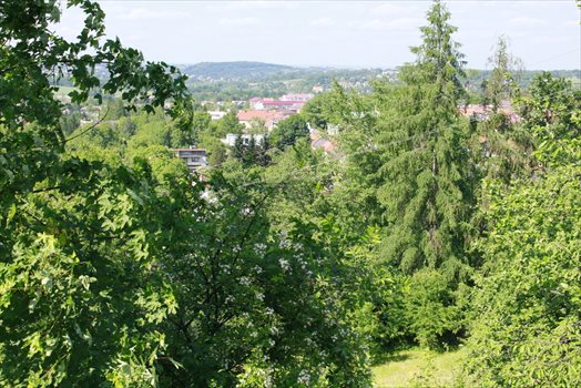 Działka budowlana na sprzedaż Kalwaria Zebrzydowska, Bernardyńska 991m2 Foto 2