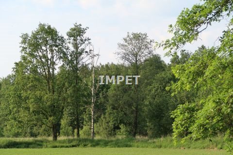 Działka inna na sprzedaż Jerzmanki 18 914m2 Foto 2
