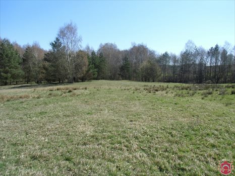 Działka budowlana na sprzedaż Kielno, Wiśniowa 1 002m2 Foto 4