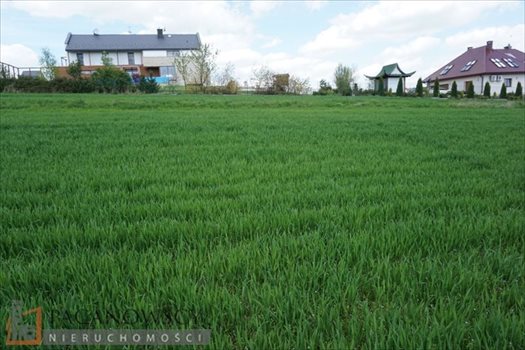 Działka budowlana na sprzedaż Cianowice Duże 2 990m2 Foto 2