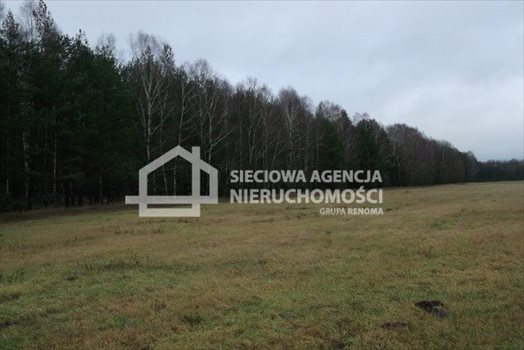 Działka leśna na sprzedaż Strzeczona 206 330m2 Foto 7