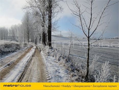 Działka rolna na sprzedaż Łomy, Jonkowo 5 500m2 Foto 3