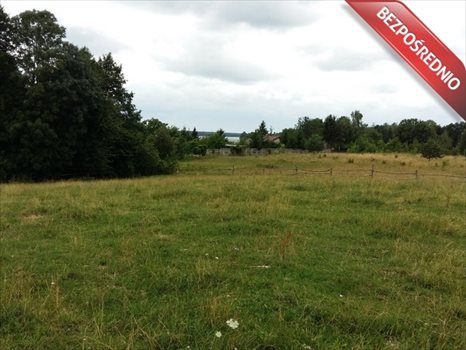Działka inna na sprzedaż Piaski 7 600m2 Foto 3