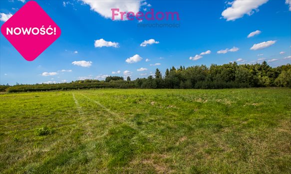 Działka budowlana na sprzedaż Straszydle 10 000m2 Foto 10