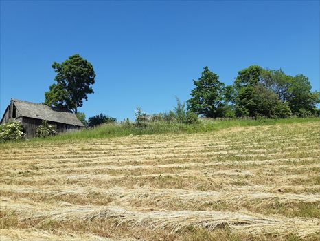 Działka inna na sprzedaż Zasępiec 20 990m2 Foto 1
