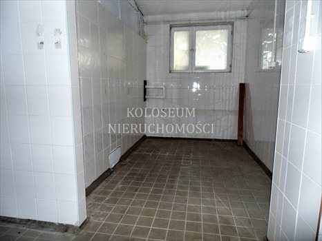 Lokal użytkowy na sprzedaż Łysomice 12 900m2 Foto 7