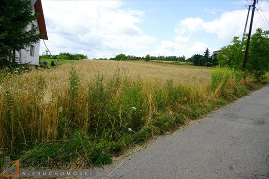 Działka budowlana na sprzedaż Bębło 2 900m2 Foto 7
