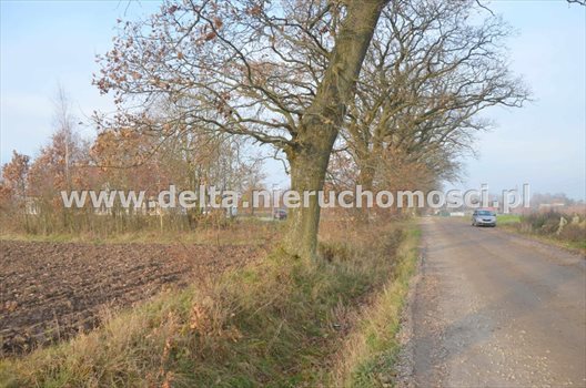 Działka budowlana na sprzedaż Pieńkowo 665m2 Foto 4