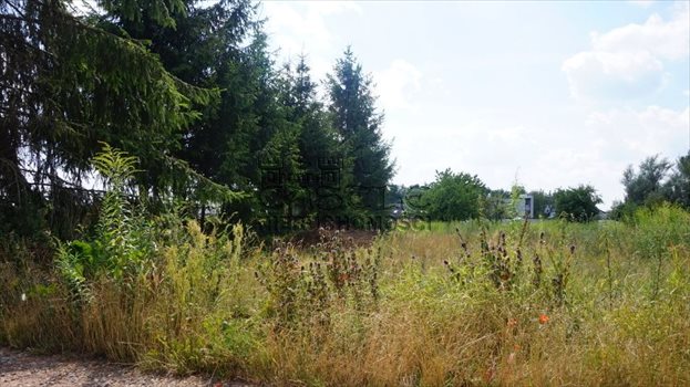 Działka budowlana na sprzedaż Kobylnica, Dolinowa 1 256m2 Foto 7