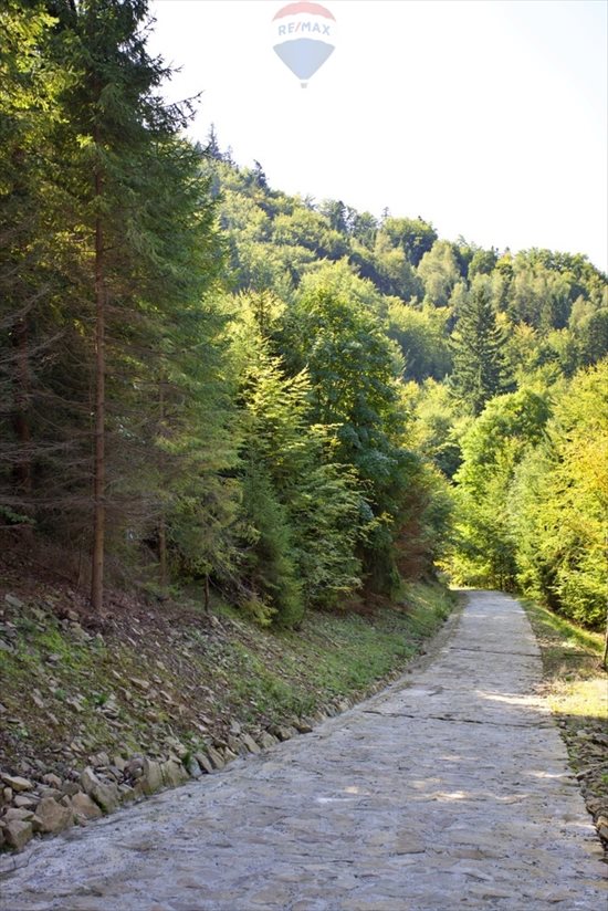 Działka inwestycyjna na sprzedaż Międzybrodzie Żywieckie 5 596m2 Foto 10