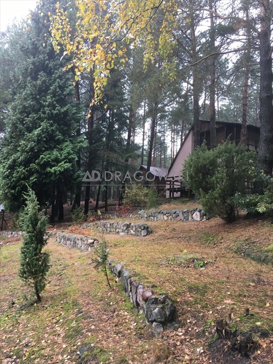 Działka rekreacyjna na sprzedaż Wólka Mlęcka 4 500m2 Foto 11