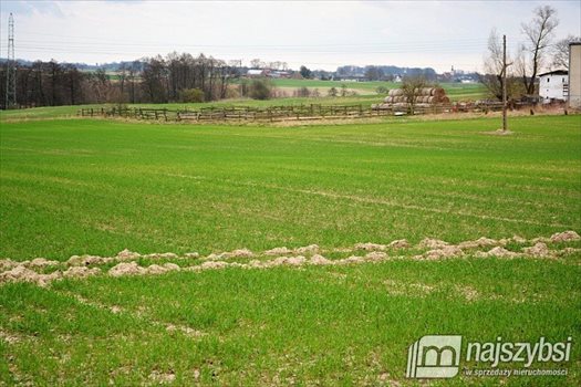 Działka inna na sprzedaż Rokocin 20 694m2 Foto 8