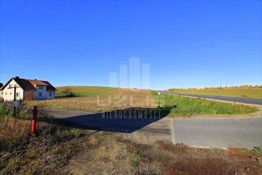 Działka inna na sprzedaż Janowo, Pelplińska 3 000m2 Foto 11