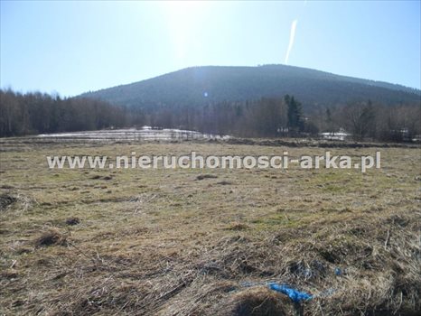Działka budowlana na sprzedaż Dobra 2 900m2 Foto 1
