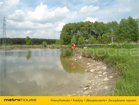 Działka siedliskowa na sprzedaż Kołata, Pobiedziska 13 737m2 Foto 6