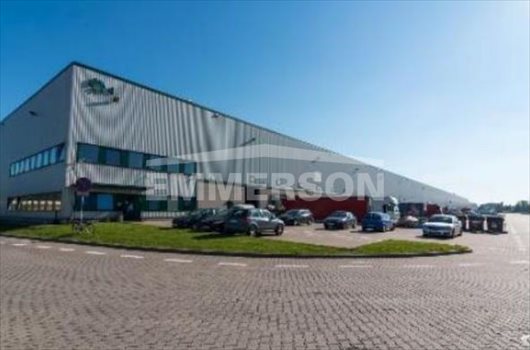 Lokal użytkowy na wynajem Chorzów, Niedźwiedziniec 450m2 Foto 2