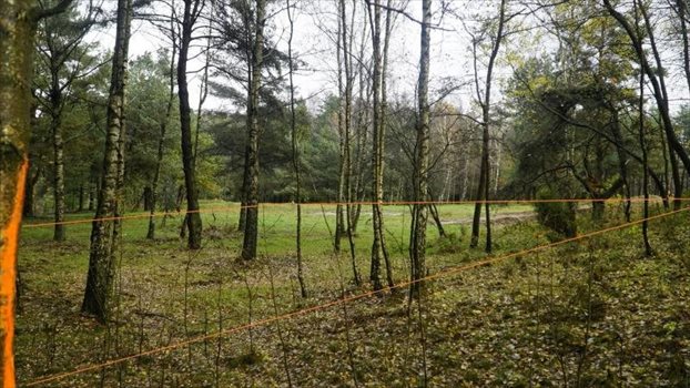 Działka budowlana na sprzedaż Dobrzewino, Chłopska 1 910m2 Foto 3