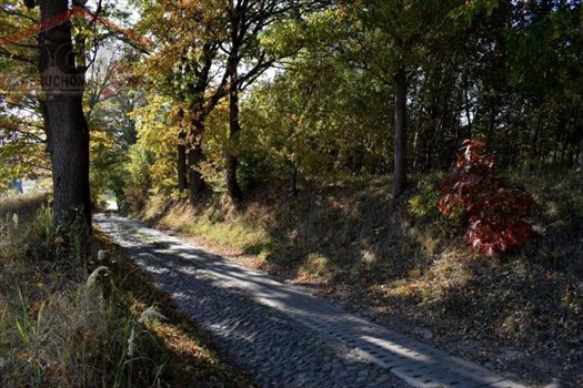 Działka inna na sprzedaż Drawsko Pomorskie, Jezioro, Las, Park, Rzeka, Tereny rekreacyjne, Okrzei 982m2 Foto 4