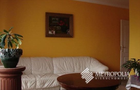 Dom na sprzedaż Borek Szlachecki 300m2 Foto 6