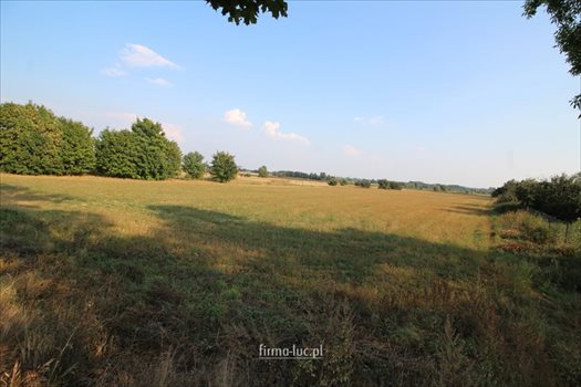 Działka rolna na sprzedaż Bogdaniec 1 500m2 Foto 5