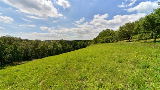 Działka rolna na sprzedaż Grębynice 51m2 Foto 2