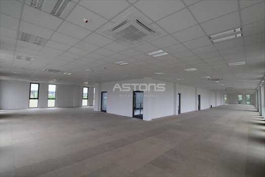 Lokal użytkowy na wynajem Poznań, Ławica, Zakrzewo 40m2 Foto 2