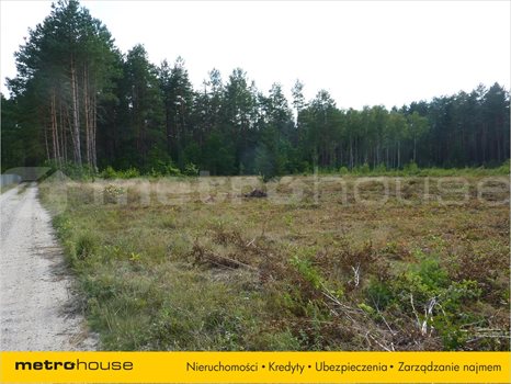 Działka inna na sprzedaż Stękiny, Jonkowo 25 000m2 Foto 3