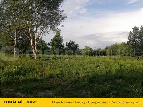 Działka inna na sprzedaż Dąbrówka Wielka, Zgierz 2 323m2 Foto 4