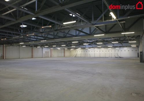 Lokal użytkowy na wynajem Toruń 1 000m2 Foto 2
