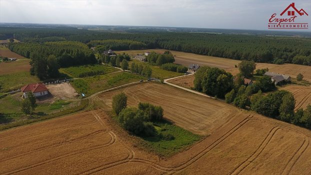 Działka inna na sprzedaż Turznica 6 800m2 Foto 6