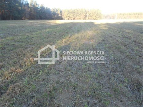 Działka budowlana na sprzedaż Rokity 1 246m2 Foto 10