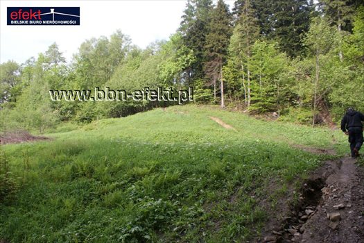 Działka rekreacyjna na sprzedaż Kozy 1 600m2 Foto 2