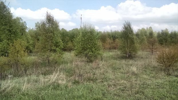 Działka rolna na sprzedaż Łódź, Widzew, Opolska 14 997m2 Foto 4